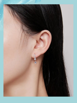 Stone Adorned Earrings