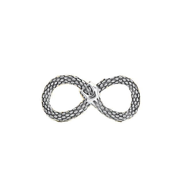 Serpent Infinity Charm