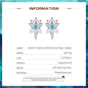 Dual Star Earrings | CZ