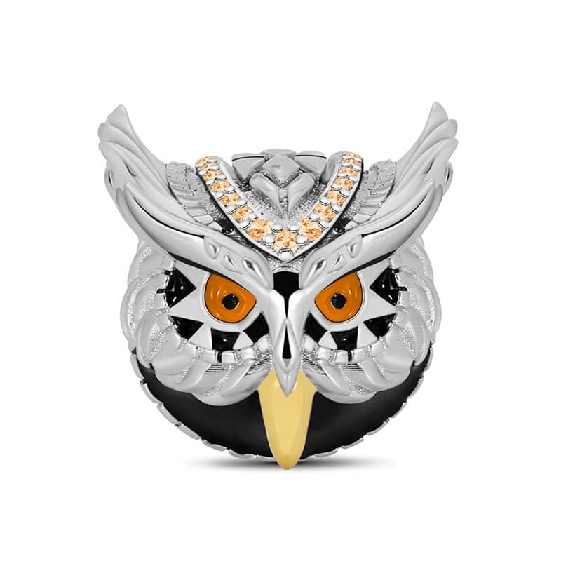 Wise Owl Charm | CZ EN