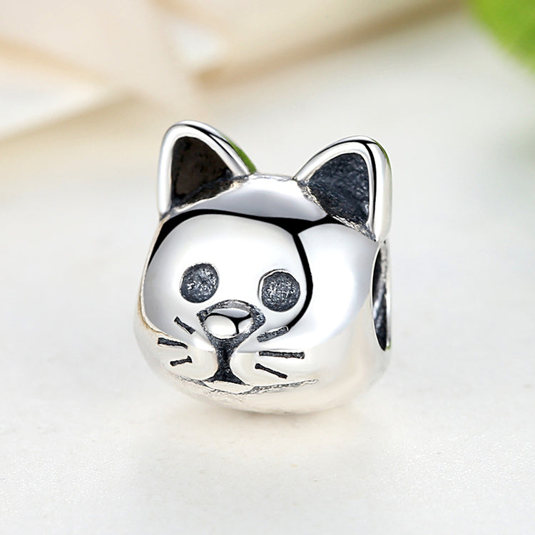 Cat clearance pandora charm