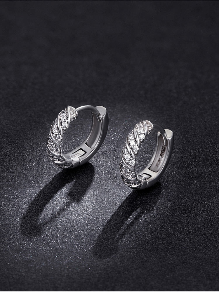 Dazzling Hoop Earrings