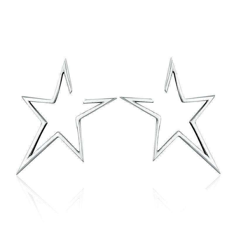 Exquisite Star Stud Earrings From CharmSA Image 1